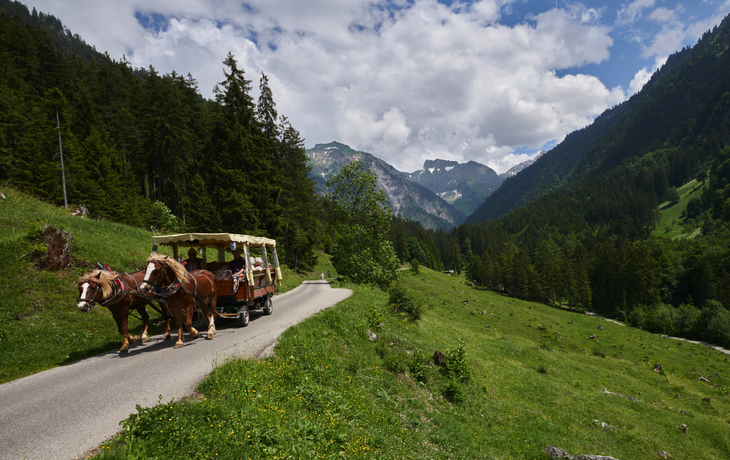 Ausflug mit der Pferdekutsche durch die Oberstdorfer Bergwelt